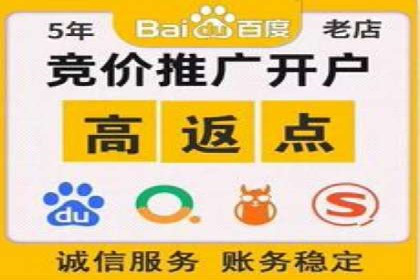 探索专业SEM托管的奥秘：从案例看效果